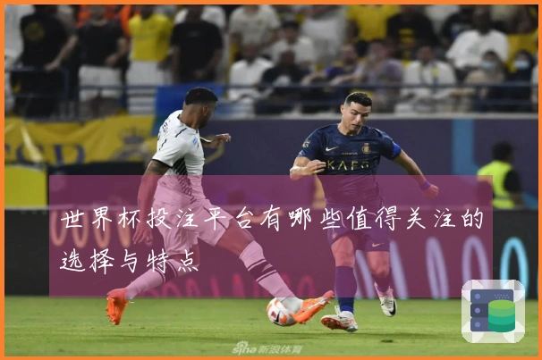 世界杯投注平台有哪些值得关注的选择与特点