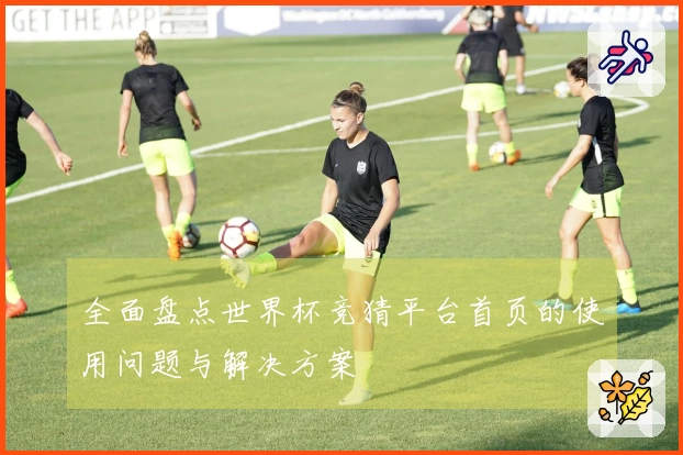 全面盘点世界杯竞猜平台首页的使用问题与解决方案