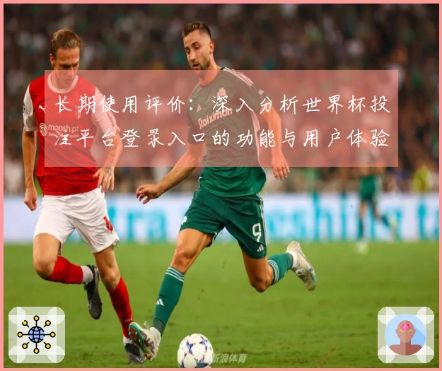 长期使用评价：深入分析世界杯投注平台登录入口的功能与用户体验