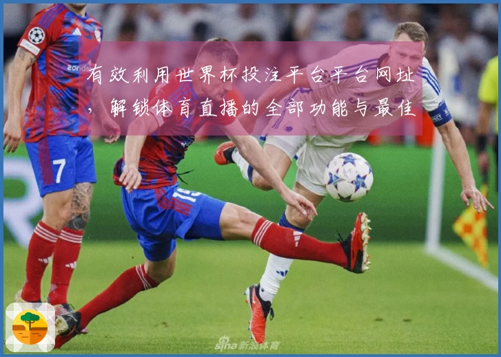 有效利用世界杯投注平台平台网址,解锁体育直播的全部功能与最佳体验