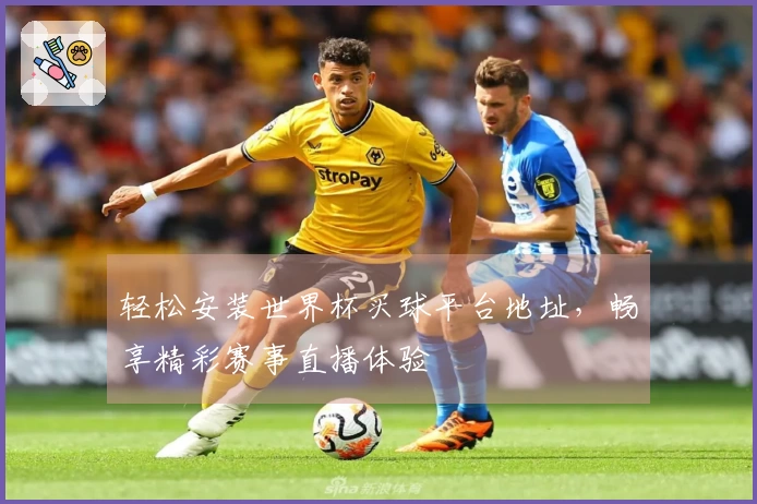 轻松安装世界杯买球平台地址,畅享精彩赛事直播体验