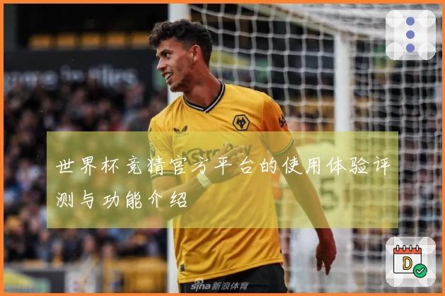 世界杯竞猜官方平台的使用体验评测与功能介绍