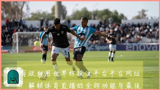有效利用世界杯投注平台平台网址，解锁体育直播的全部功能与最佳体验