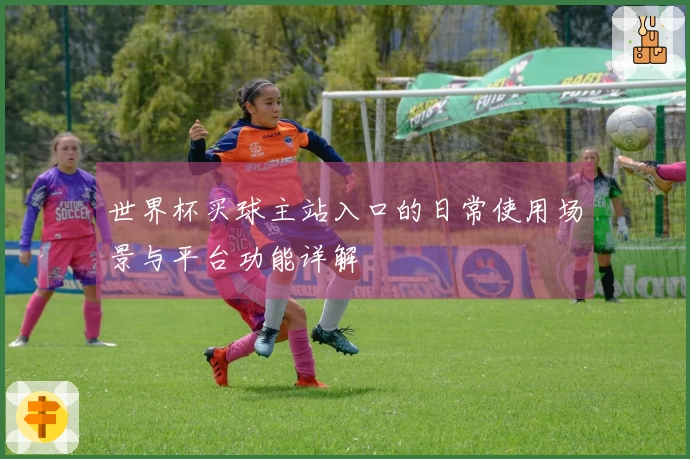 世界杯买球主站入口的日常使用场景与平台功能详解