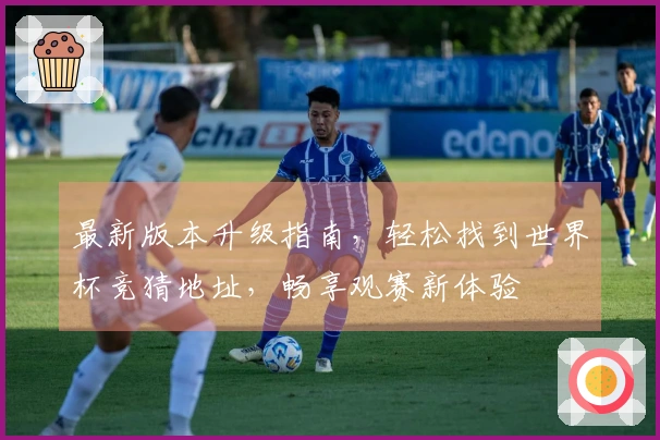 最新版本升级指南，轻松找到世界杯竞猜地址，畅享观赛新体验