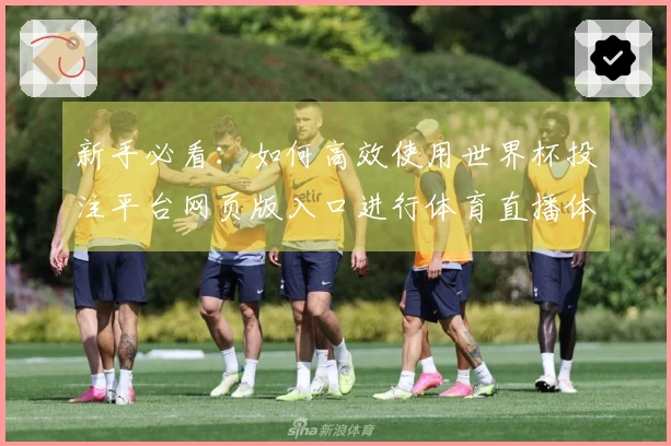 新手必看：如何高效使用世界杯投注平台网页版入口进行体育直播体验