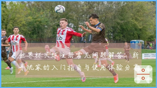 世界杯买球注册常见问题解答：新手玩家的入门指南与使用体验分享