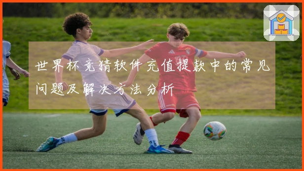 世界杯竞猜软件充值提款中的常见问题及解决方法分析