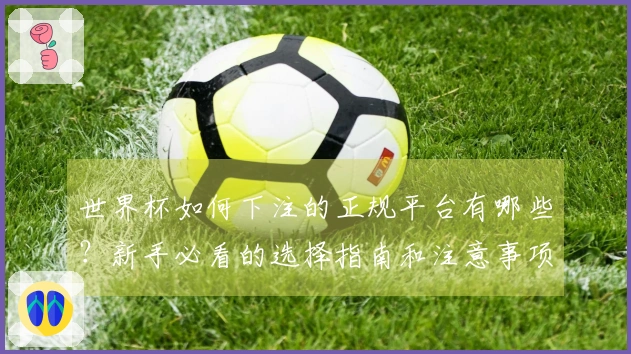 世界杯如何下注的正规平台有哪些？新手必看的选择指南和注意事项