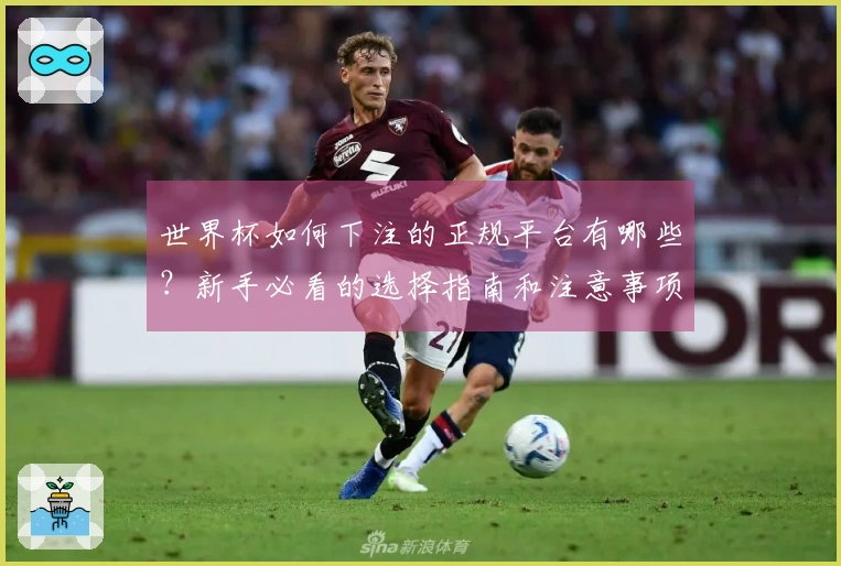 世界杯如何下注的正规平台有哪些？新手必看的选择指南和注意事项
