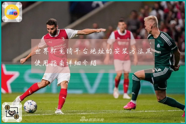 世界杯竞猜平台地址的安装方法及使用指南详细介绍